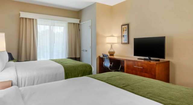 Четырёхместный номер Standard Comfort Inn & Suites Florence Center Area