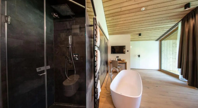 Люкс Deluxe Hotel Panoramic Lotsch