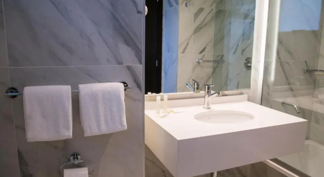Двухместный номер Standard Hotel Land Plaza La Plata