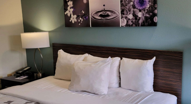 Двухместный номер Standard Sleep Inn Bessemer Helena