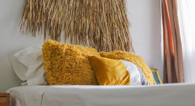 Bokatrip Xochimilco, Buchen Sie Pension Gästehäuser in Oaxaca, Pension