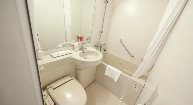 Двухместный номер Comfort Sotetsu Fresa Inn Ginza-Nanachome