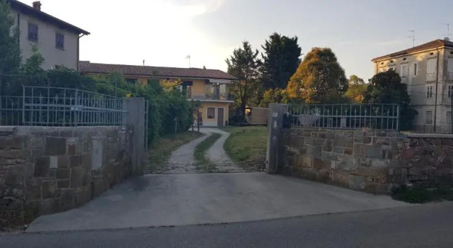 Sunny's House