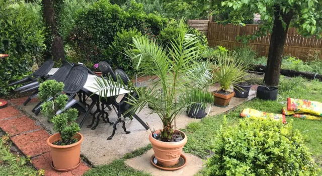 Коттедж le petit jour Maison 6 pers climatisée - Audenge - Bassin d'Arcachon
