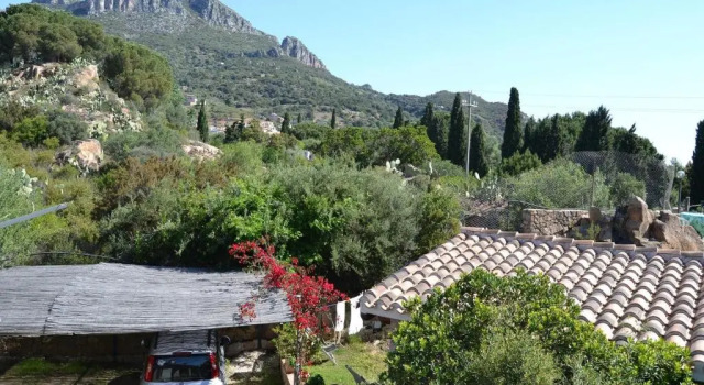 Апартаменты Villa Juniper