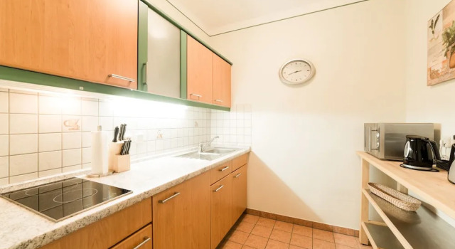 Двухместная студия Aparthotel Münzgasse