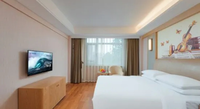 Люкс Deluxe Vienna International Hotel (Beijing Qingyuan Road Metro Station)