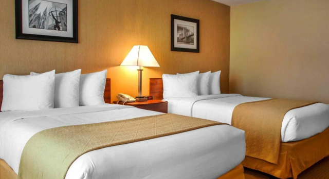 Четырёхместный номер Business Quality Inn Meadowlands