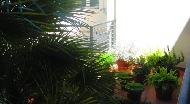 Двухместный номер Standard с балконом Apartments and Rooms Teona
