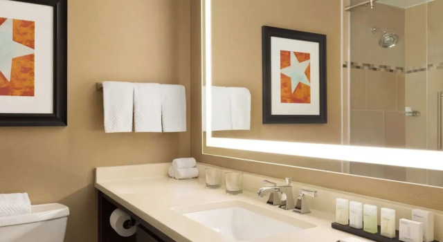 Двухместный люкс двухкомнатный с велотренажёром Отель Embassy Suites by Hilton Austin Downtown South Congress