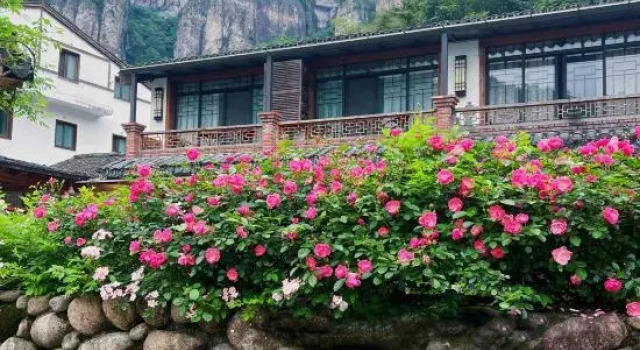 Yanyuan Boutique Hostel, Prenota Ostello Wenzhou Zhejiang