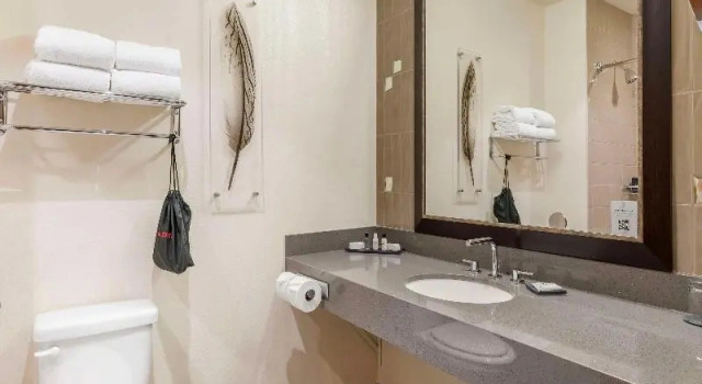 Одноместный люкс Best Western Premier Boulder Falls Inn