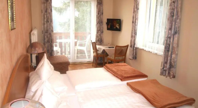 Двухместный номер Standard Hotel Alpenblick