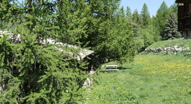 Апартаменты Standard Val d Azur B C