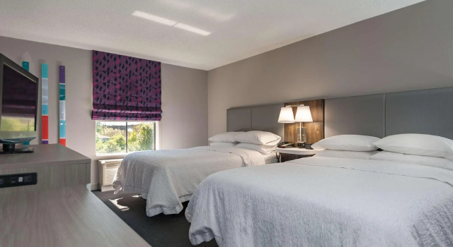 Четырёхместный номер Standard Hampton Inn East Windsor