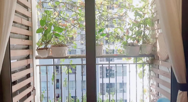 BOM HOMES- Vinhomes Times City- Service Apartment, Забронировать Апартаменты/квартира Апартаменты Ханоя, Апартаменты/квартира