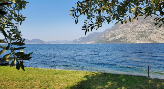 Camera Standard Camping Pilzone