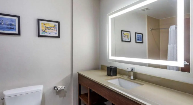 Четырёхместный номер Standard Comfort Suites Olive Branch - Memphis South