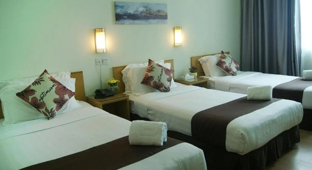 Трёхместный номер Deluxe Tang Dynasty Park Hotel