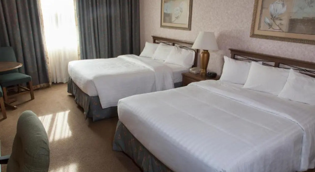 Четырёхместный номер Standard Piccadilly Inn Airport