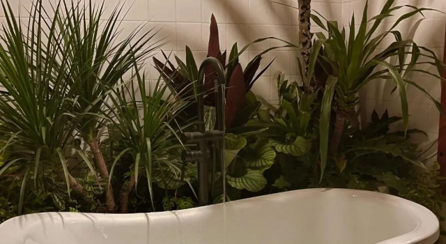 Апартаменты Dốc Garden Homestay Đà Lạt