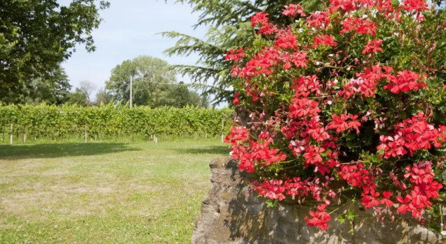 Alloggio Agrituristico CORTE SAN BIAGIO, Book Hotel Corno di Rosazzo Friuli Venezia Giulia