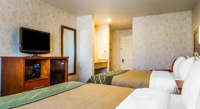Четырёхместный номер Standard Comfort Inn Watsonville