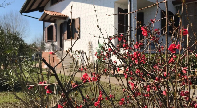 B&B Annaclara