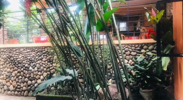 Natures Guesthouse