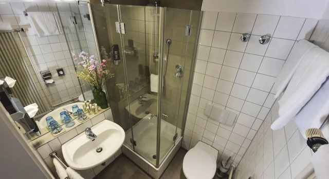 Номер Standard Hotel Goldener Falke