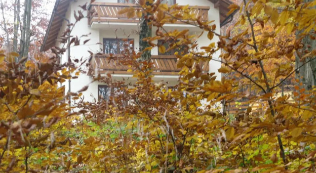 Коттедж с 3 комнатами Casa de vacanta Mogosa