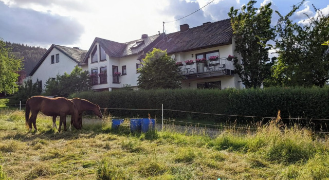 Weingut Harald Ludwig, Book Hotel Monzel Rhineland-Palatinate