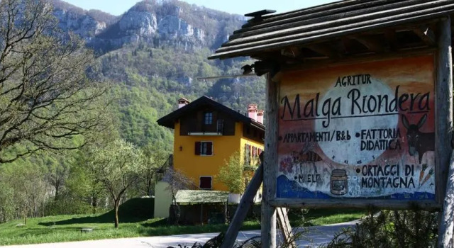 Номер Standard Agriturismo Malga Riondera