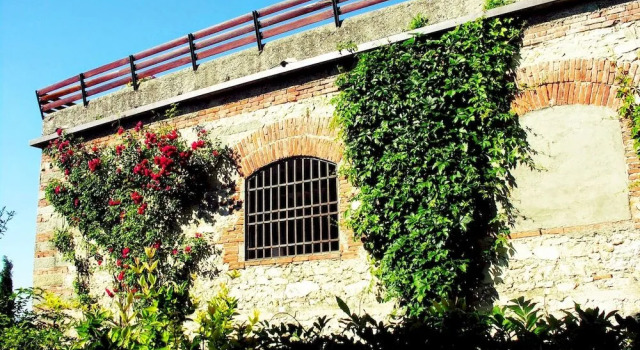 Villa Poggio, Book Villa Cottages in Valdarno, Cottage