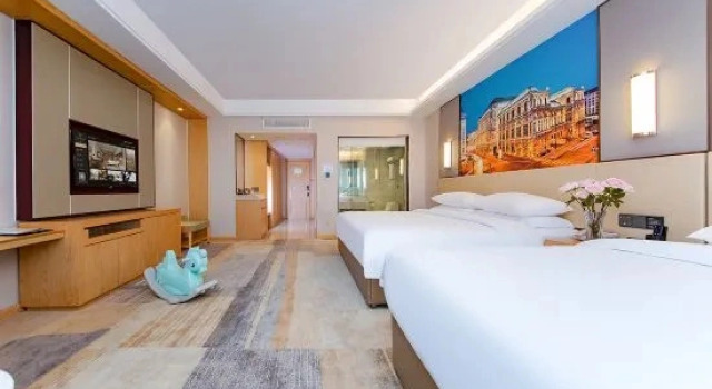 Двухместный люкс Business Vienna International Hotel (Yichang Gezhouba Huaxiang Branch)