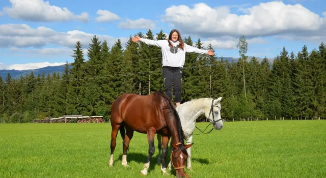 Номер Standard Erholung am Bauernhof bei Familie Seidl / Messner