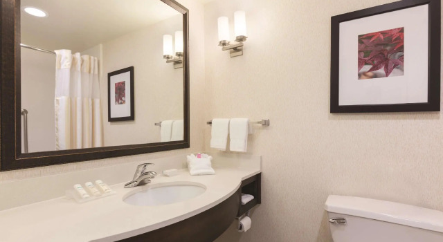 Четырёхместный номер Standard Hilton Garden Inn Wallingford/Meriden