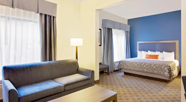 Люкс Comfort Inn & Suites Arlington Heights - Schaumburg