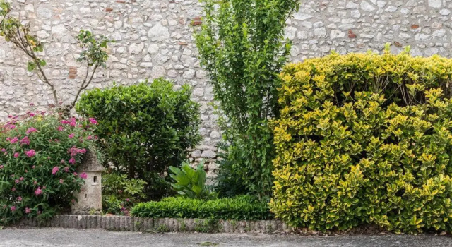Auberge Le Cygne de La Croix Blanche