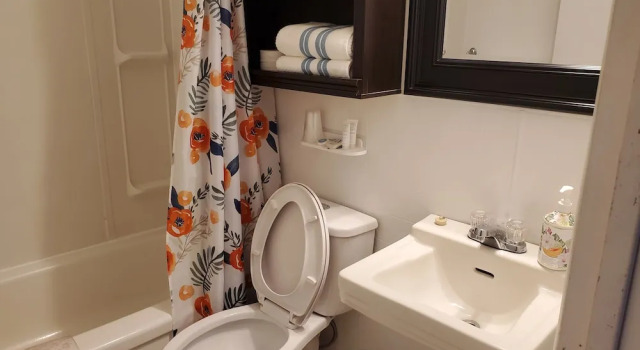 Номер Standard Wolseley Motel