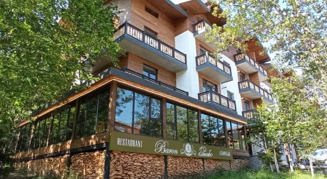 Апартаменты Bakuriani Didveli residence E-30