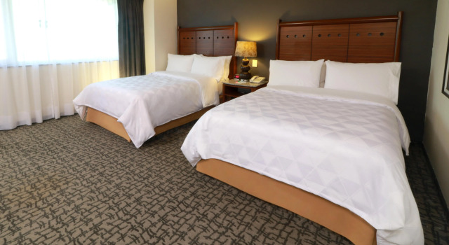 Holiday Inn Ciudad De Mexico-Trade Center by IHG