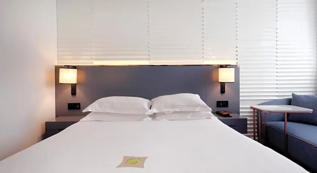 Двухместный номер Superior с видом на сад Ibis Shanghai Yu Garden