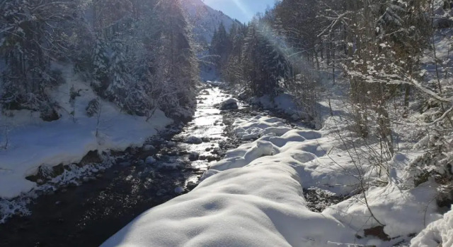 Шале Walser Lodge