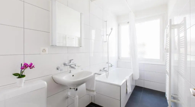 Одноместные апартаменты Apartmenthaus zum Trillen Basel City Center