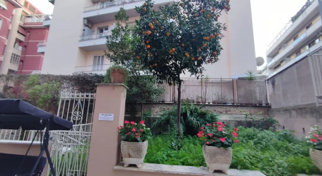 Люкс VATICAN GREEN GARDEN