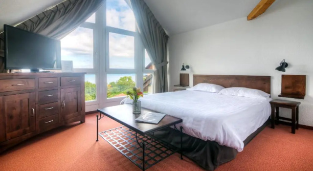 Студия с видом на озеро Zenitude Evian Les Terrasses du Lac, an Ascend Collection Hotel