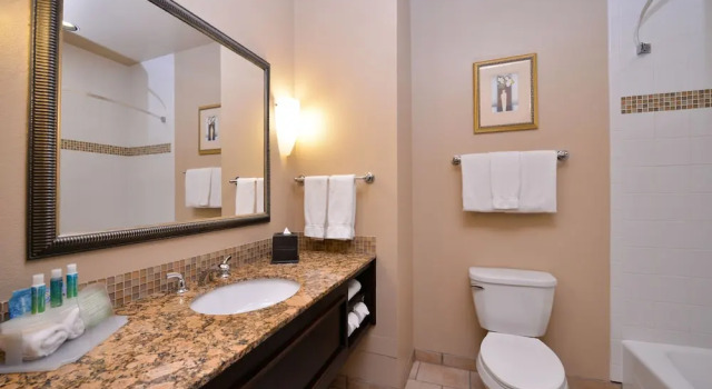 Четырёхместный люкс Holiday Inn Express & Suites Wichita Falls by IHG