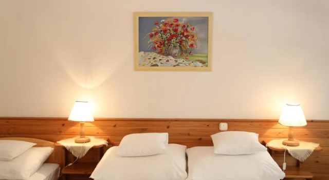Номер Superior Hajdú Kastély Hotel