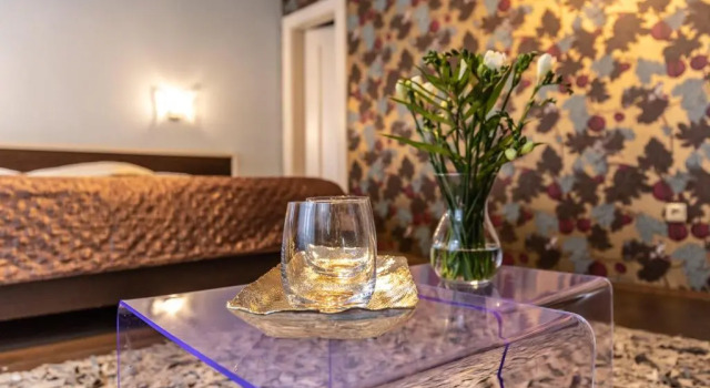 Двухместный номер Deluxe Hotel Peregrin